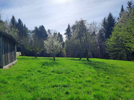 Landwirtschaft Nähe Graz mit Mietkaufoption - Ideal für Pferdehaltung!