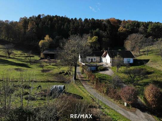 NATUR PUR - Ein- oder Mehrfamilienhaus im Südburgenland