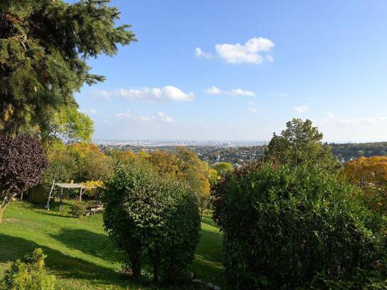 Genug Platz für Erholung - Parkliegenschaft mit Fernblick!