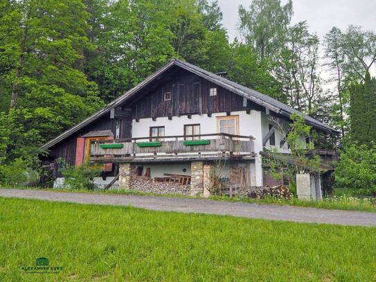 Idyllisches älteres Haus in herrlicher naturnaher Alleinlage