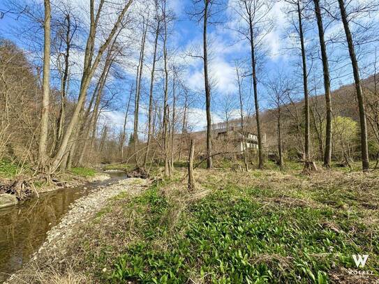 Idyllische Ruhelage mit anliegendem Bach: Ihre Villa mit riesigem Potential