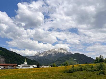 Hochwertige Wohnung mit Blick auf die Steinberge ( 04202 )