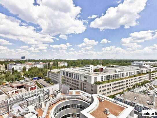 Büroflächen an der Erdberger Lände