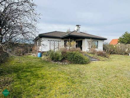 Einfamilienhaus mit großem Garten