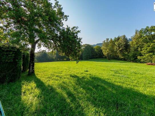 Freizeit oder Hauptwohnsitz in Alleinlage - großes Landhaus mit über 22.000 m² Grundstück