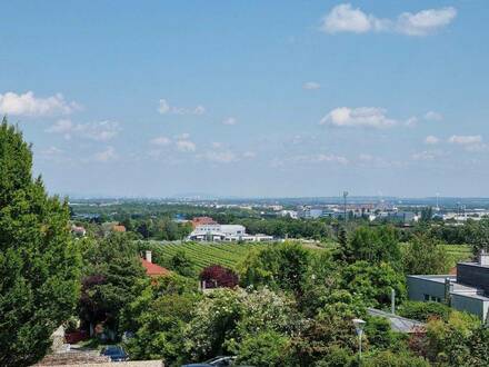 Geräumige Villa mit Traumausblick