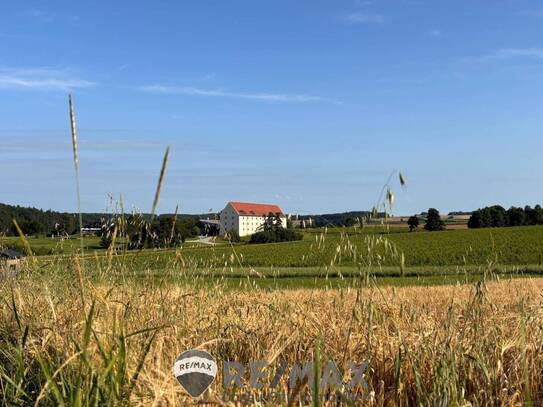 "Starter Wohnung - freier Blick - alles inkl. Warmwasser, Heizung und Strom + Balkon"