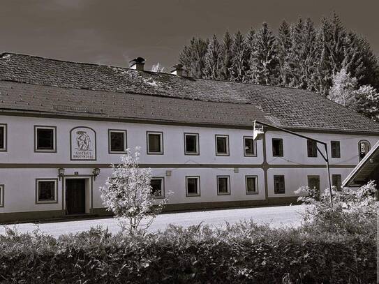 Historisches Gasthaus mit großem Grundstück und vielseitigen Nutzungsmöglichkeiten - ca. 6411 m² in Top-Lage!