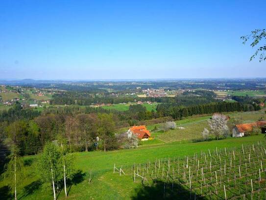 Einfamilienhaus in idyllischer Hanglage zur Miete
