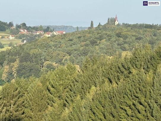 ++TRAUMHAFT SCHÖNE AUSSICHTSLAGE++IDYLLISCH gelegene KLEINLANDWIRTSCHAFT++ca, 2,6 Ha SCHEIBENGRUND, mit alten typischen…