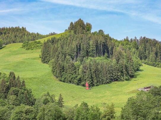 Ski In - Ski Out an der Hahnenkammbahn mit Streif-Blick