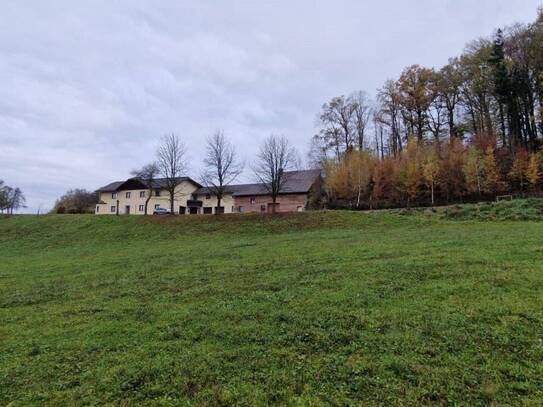 Haus mit 1,7 ha landwirtschaftlicher Nutzfläche und Quellwasser