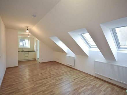 Schönes DG-Loft mit Terrasse nahe U3 - Hütteldorfer Straße