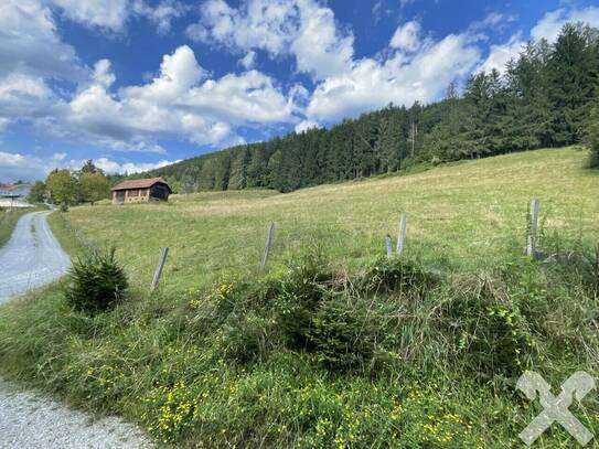 Wald und landwirtschaftliche Flächen mit altem Stallgebäude in Södingberg