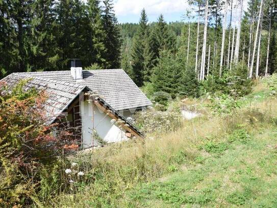 Sacherl auf Waldlichtung - ALLEINLAGE!