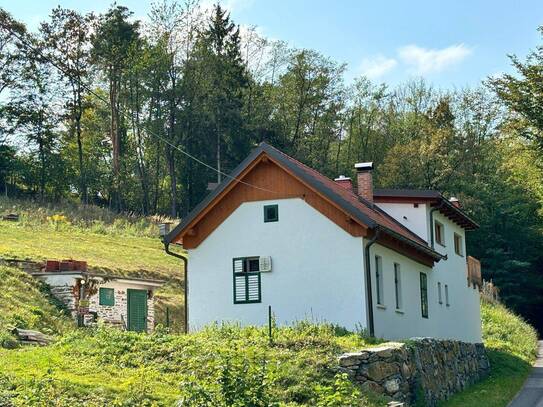 Neubau mit Altbestand auf 3.879m² Grundstück umgeben von Wald und Wiese