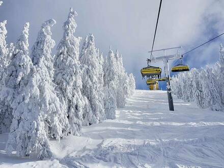 3 Einheiten mit Blick auf die Skipisten in SCHLADMING