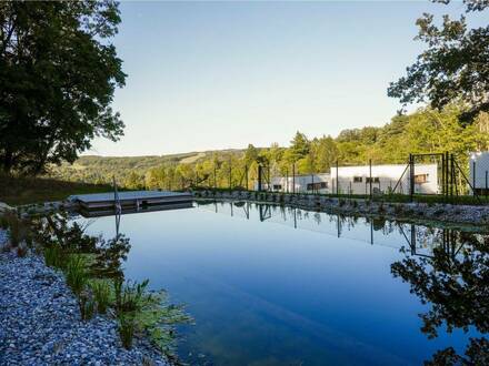 Klosterneuburgs Juwel am Wasser: Doppelhaus mit Badeteich - Modern, luxuriös, Hochwertig und zum sofortigen Einzug bere…