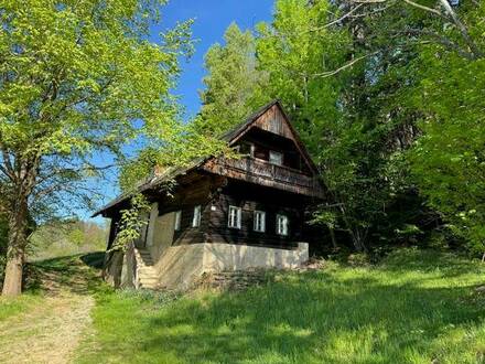 Ligist Unterwald Landwirtschaft mit sanierungsbedürftigen Weststeirischen Bauernhaus mit Nebengebäude 3,8 ha Wiese und…