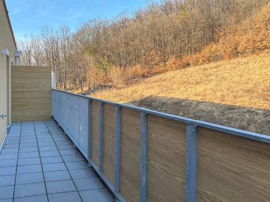 ERSTBEZUG: moderne Dachterrassenwohnung