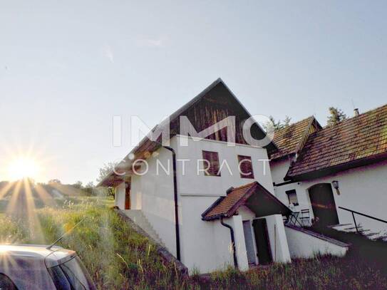 Weinstöckl mit Weinreben und ehemalige Landwirtschaft in ruhiger Ortsmitte - Sanierungsbedürftig