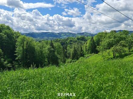Panoramablick