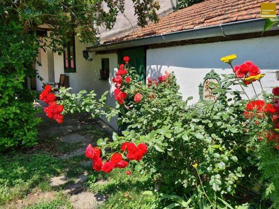 Romantisches kleines Juwel mit traumhaft großen Garten