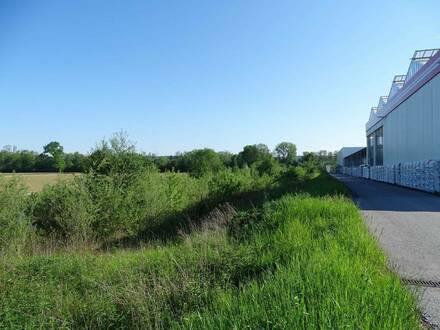 Ca. 6.000 m2 attraktiver Gewerbegrund an hochfrequentierter Straße