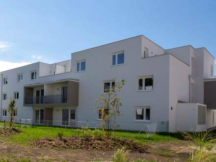 Helle Dachterrassenwohnung, hofseitig gelegen