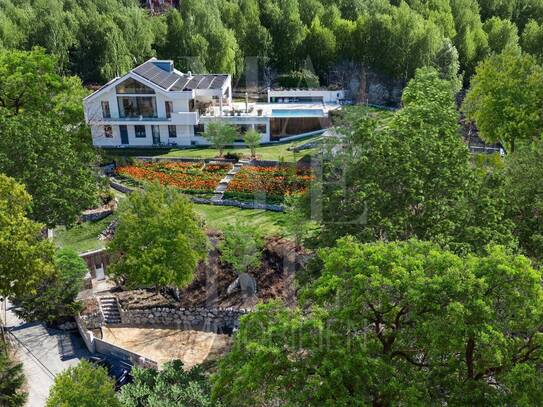 Luxuriöse und exklusive Villa mit atemberaubender Aussicht - Waldrand des Bisamberges