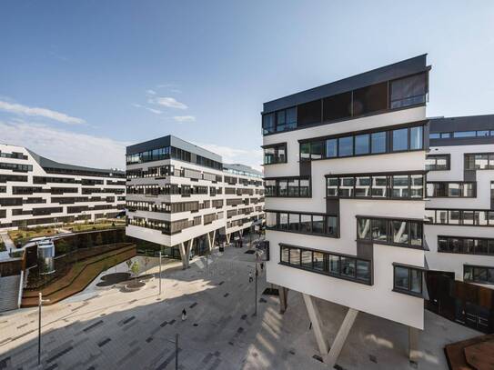 Modernes Arbeiten im VIENNA WORKS am Austria Campus - Büroflächen zu mieten in 1020 Wien