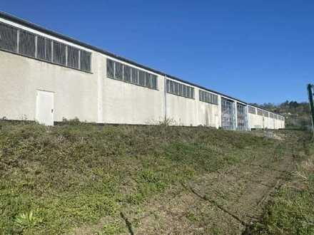 Lagerhalle, ca. 4.250 m², teilbar ab 1.425 m², mit Büro und WC in 56626 Andernach-Eich zu vermieten