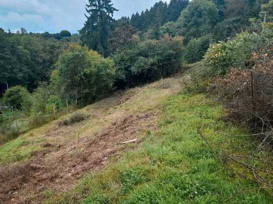 **Traumgrundstück in idyllischer Lage im Herzen der Eifel**