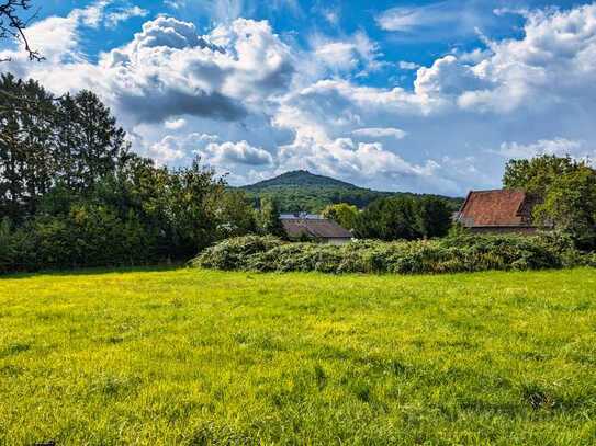 Tolles Baugrundstück mitten in Thomasberg! 729qm, sehr ruhige Lage...mit Weitblick auf den Oelberg!