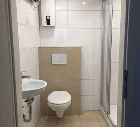 Stilvolle, modernisierte 1-Zimmer-Wohnung mit Einbauküche in Kaiserslautern