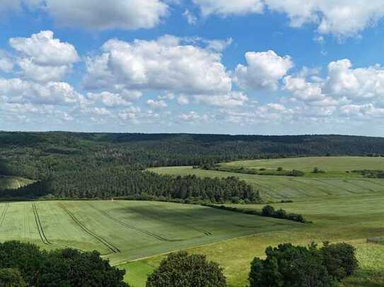 EFH in Gossel mit Ausblick ins Grüne und Pool/Teich - Sanierungsbedarf