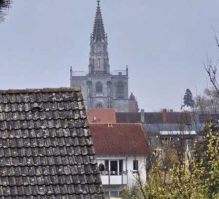 Möblierte 1-Zimmer Wohnung mit Balkon und Autoabstelllatz in 78462 Konstanz-Paradies