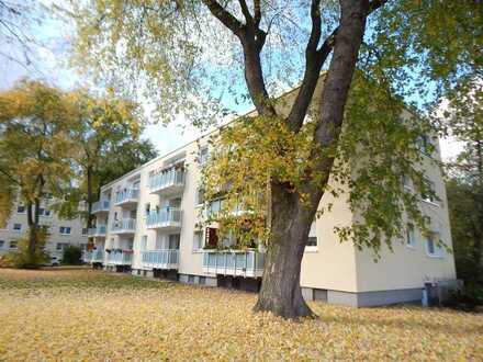 Top sanierte Wohnung in beliebter Lage wieder frei