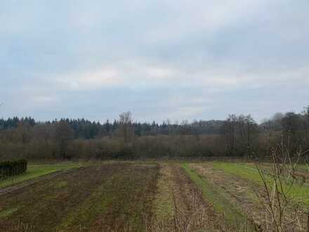 Kiel-Russee, Baugrundstück in Bestlage