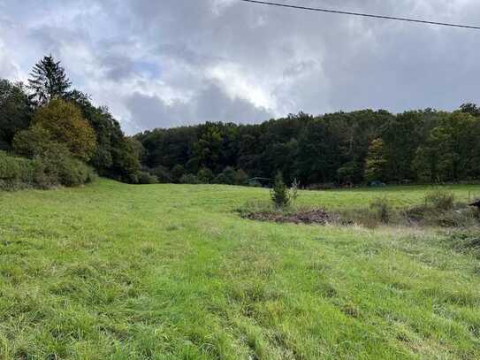 Ihre Zukunft in ruhiger und stadtnaher Wohnlage - Urweiler