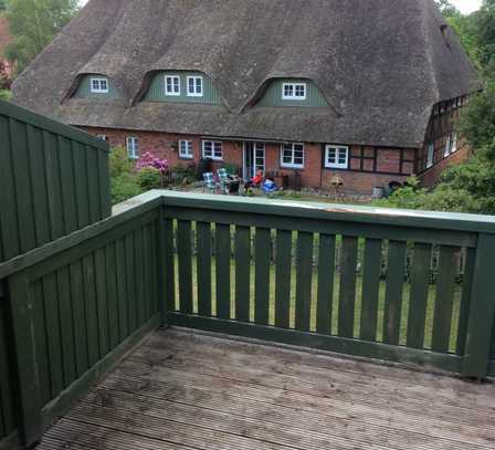 Helle, großzügige 2-Zimmer-Wohnung mit großem Sonnenbalkon