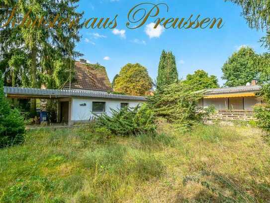 Schuster aus Preussen - Buch in Bestlage - Mehrfamilienhausgrundstück - GFZ 0,4 - ca. 808 m² - vo...