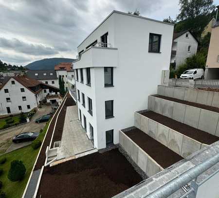 Leben Hoch 3 in Heidelberg-Ziegelhausen - Rohbauphase -3 Mehrfamilienhäuser