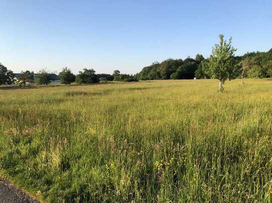 Naturnah - 310 qm Bauplätze für DHH oder 620qm für EFH in Karlsbad Spielberg