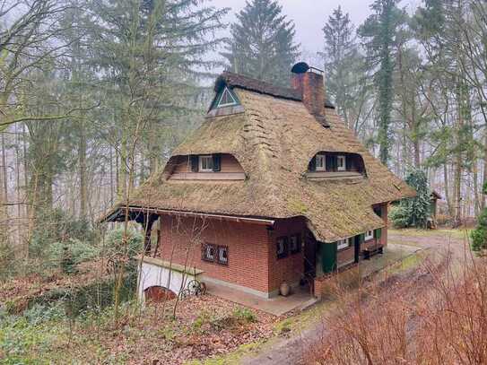 Reetdach-Landhaus am Drüsensee mit eigenem Wald