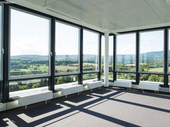 Zwischen Taunus und Skyline