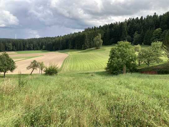 Traumhaftes Schwarzwald Panorama in Loßburg-Geroldsweiler