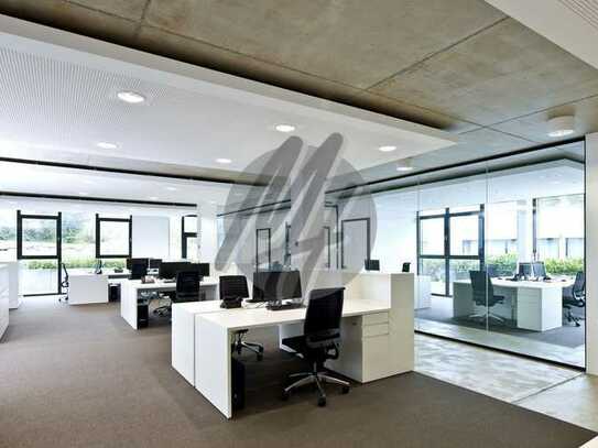 KEINE PROVISION ✓ KOMPLETT MODERNISIERT ✓ Büroflächen (250 m²) zu vermieten