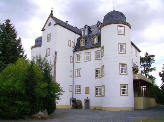 Wohnen wie ein Fürst in einem Schloss - 5 Zi. Wohnung mit Balkon und Kamin