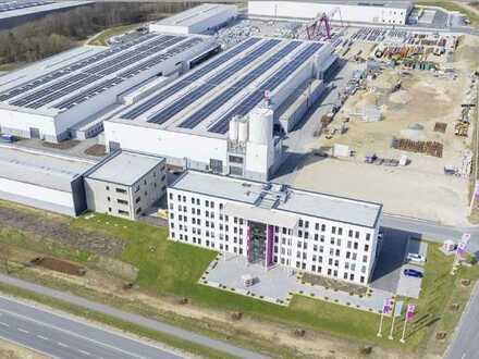 Produktion / light industrial - AREAL 9 - Hallenneubau im Industriegebiet